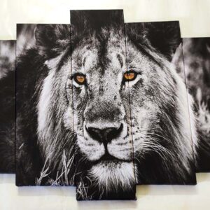 Custom Canvas