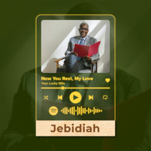 Career Milestones & Retirement – Personalized AI Song & Spotify Lamp