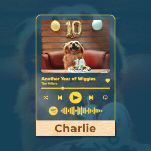 Pet Birthday & Special Celebrations – Personalized AI Song & Spotify Lamp